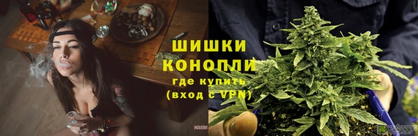 кокс Бородино