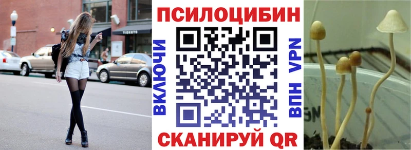 ссылка на мегу ТОР где продают Сосногорск Галлюциногенные грибы мицелий